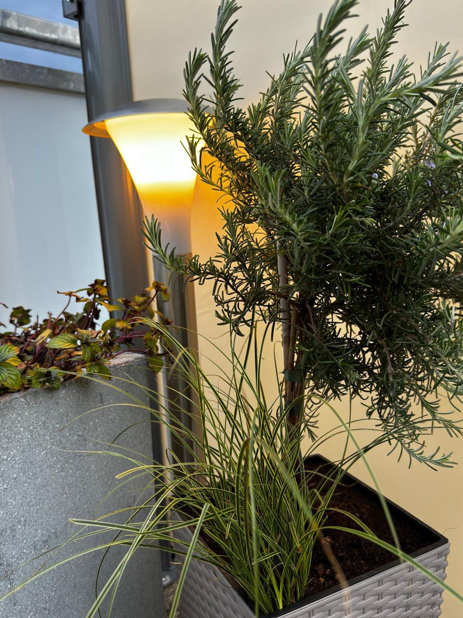 Appartement Ferienwohnung-koenigsschloesser